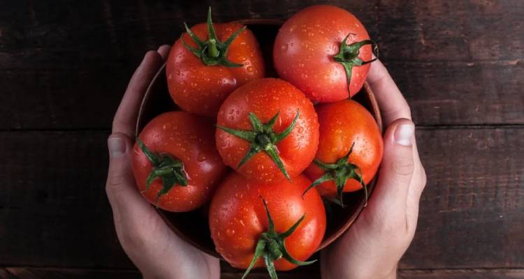 روش های آسان و سریع آبگیری گوجه فرنگی برای رب